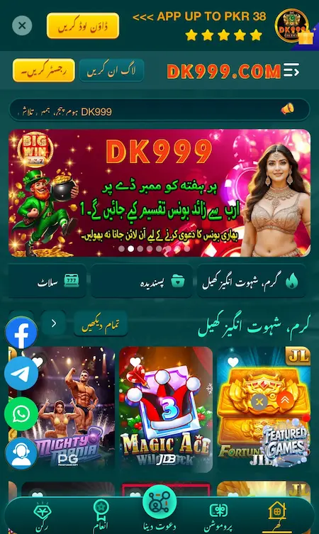 DK999 Game image